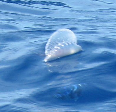 img03.jpg